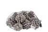 NATURE PINUS PINEA STONE WASHED WHITE  P/12