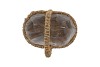 SEAGRASS FLOWER BASKET W HANDLE 24X16X31CM