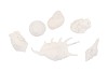 SHELL MIX WHITE ASSORTED SET OF 7