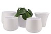 BERLIJN WIT MAT ORCHIDEE POT D16XH15CM