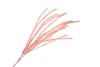 SILK PLUME BRANCH XL SALMON 150CM