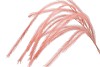 SILK PLUME BRANCH XL SALMON 150CM