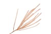 SILK PLUME BRANCH XL TERRA 150CM