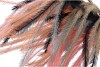 SILK PLUME BRANCH XL PEACH 150CM