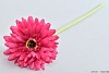 SILK GERBERA FUCHSIA L48CM