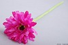 SILK GERBERA DARK PINK L48CM