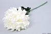 BOL CHRYSANT WIT L63CM