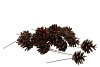 NATURE SILVESTER ON WIRE SET OF 75