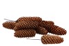 PICK SPRUCE FIR ON WIRE SET OF 50