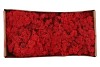 MOSS ICELAND RED A 500 GRAM