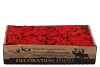 MOSS ICELAND RED A 500 GRAM