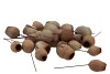 PICK NAT EUCBELLS ON WIRE NATUREL P/100 PC
