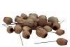 PICK BELLGUM ON WIRE NATURAL SET OF 100
