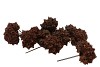 PICK NATURE PINE CONE SPIDERGUM BROWN P/40