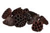 NATURE LOTUS ASSORTI NATUREL PAR 150 PIÈCES