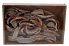 NATURE ESTRELLA NATURAL ON WIRE SET OF 50