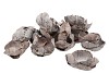 NATURE PALMCUP WHITEWASH SET OF 15