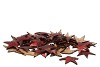 NATURE NOIX DE COCO ÉTOILE ROUGE 5CM PAR 50 PIÈCES