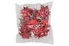 COCONUT STAR RED 10CM SET OF 20