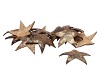 NATURE NOIX DE COCO ÉTOILE DORÉ 10CM PAR 20 PIÈCES