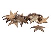 NATURE COCONUT SHELL STAR GOLD 10CM SET OF 20