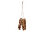 NATURE HANGER STROBUS NATURAL 3DLG