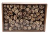 NATUUR DENNENAPPEL PUBESENS WIT OP DRAAD PER 100 STUKS