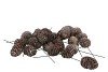 PICK NATURE SABULOSUM STONE WH ON WIRE P/100