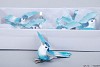 BIRD ON A CLIP AQUA 7X6X3CM SET OF 12