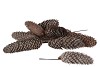NATURE SPRUCE FIR STONEWASHED WHITE ON WIRE SET OF 35