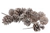PICK NATURE AUSTRIANS STONEWASHED P/40