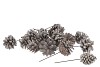 NATURE SILVESTER STONEWASH ON WIRE SET OF 75