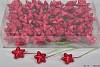 PICK STER 4CM ROOD PER 108 STUKS