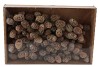 PICK DENNENAPPEL MURRI OP DRAAD WIT PER 100 STUKS