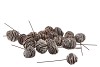 NATURE PLATYSPERUM WHITEWASH ON WIRE SET OF 50