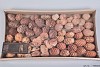 NATURE PINE CONE ON WIRE ORANGE ASSORTED SET OF 70