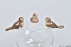 BIRD TOUSLED BROWN 6CM ASSORTED A PIECE