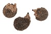 DECO HEDGEHODGE ASS P/1 12CM NM