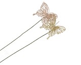 PICK SHINE BUTTERFLY CHAMPAGNE/GOLD 50CM ASS PER 12