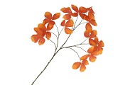SILK LEAF CHESTNUT ORANGE 135CM NM