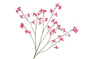 SILK BUTTERCUPS RED 100CM NM