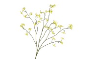 SILK BUTTERCUPS YELLOW 100CM NM