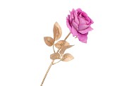 SILK ROSE GOLDIE PURPLE 75CM