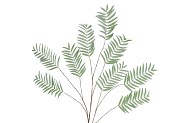 SILK PALM LEAF DUSTY GREEN 150CM NM