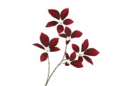 SILK LEAF ELDER DARK RED 81CM NM