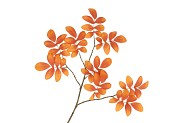 SILK LEAF ROWAN ORANGE 71CM NM