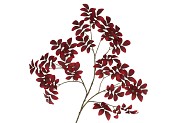 SILK LEAF ROWAN DARK RED 125CM NM
