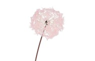 SILK DANDELION PINK 91CM NM