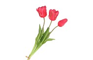 SILK TULIP BOUQUET DARK PINK 26X47CM NM