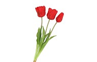 SILK TULIP BOUQUET RED 26X47CM NM